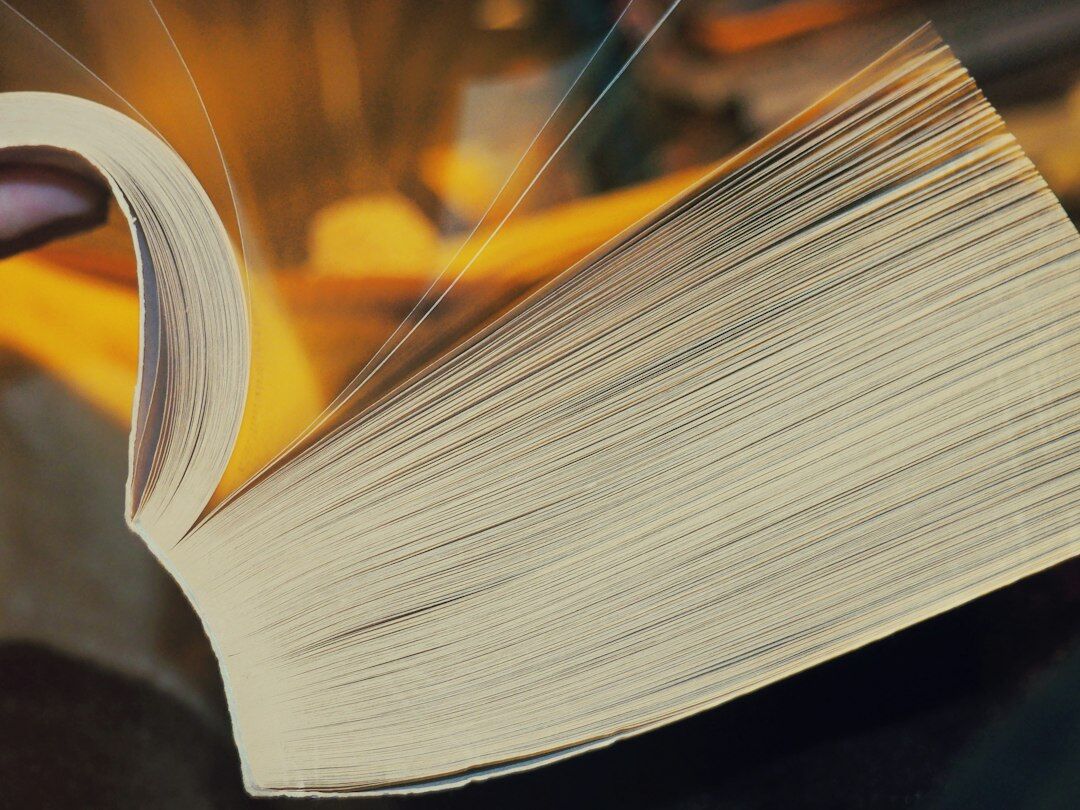 book with twist ending